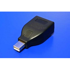 Redukce DisplayPort(M) -> miniDisplayPort(M)