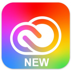 Adobe CC for TEAMS All Apps MP ENG COM NEW 1 User L-4 100+ (12 Months)