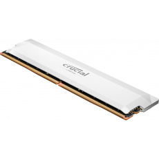 Crucial Pro OC/DDR5/16GB/6400MHz/CL38/1x16GB/White