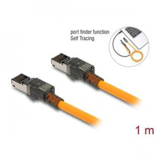 Delock Síťový kabel RJ45 s funkcí vyhledávání portů USB Type-C™, samosledovací, Cat.6A, S/FTP, 1 m, oranžový