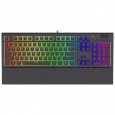 Endorfy herní klávesnice Omnis Pudd.Kailh RD RGB /USB/ red switch / drátová / mechanická / US layout / černá RGB