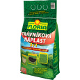 Hnojivo Agro  Floria Trávníková náplast 3 v 1 1kg