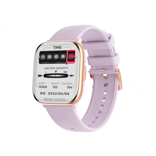 CARNEO Proxima HR+/Gold/Sport Band/Purple