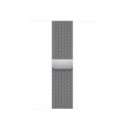 Watch Acc/41/Silver Milanese Loop