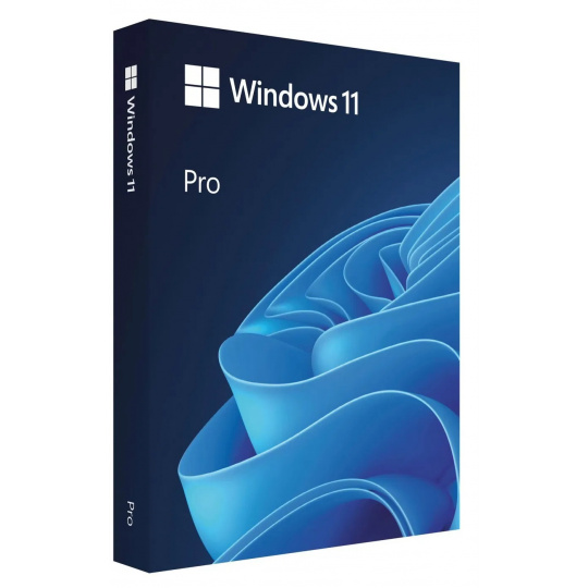 MS Windows 11  Professional FPP 64-bit Eng Intl USB