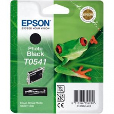 EPSON cartridge T0541 black (rosnička)