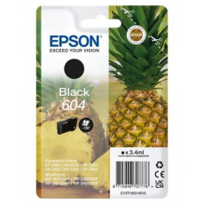 EPSON Singlepack Black 604 Ink