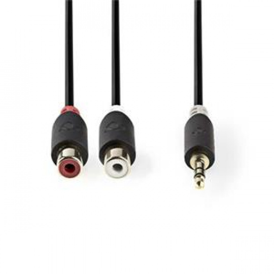 Nedis CABW22250AT02 - Stereofonní Audio Kabel | 3,5mm Zástrčka - 2x RCA Zásuvka | 0,2 m | Antracit